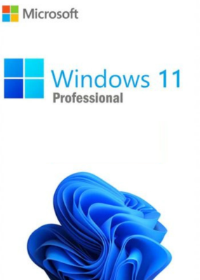 Windows 11 Pro License (PC)